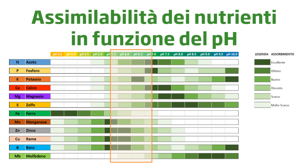 Assimibilità degli elementi nutritivi in funzione del pH